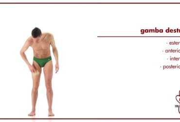 Come utilizzare la spazzola del benessere corpo